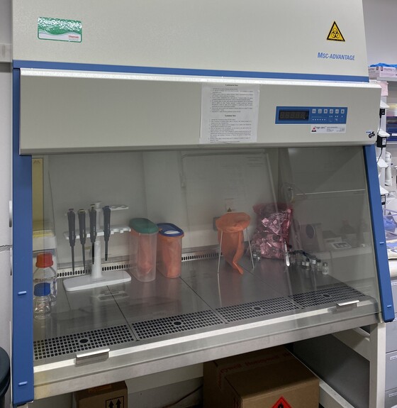 Microbiological Safety Cabinet Class II MSC-Advantage (Thermo Scientific)